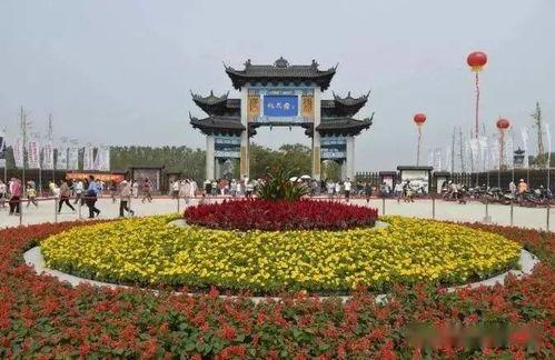 盐城龙冈爆料事件最新,真相与争议交织的舆情漩涡